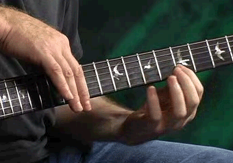harmonic porcupine.gif